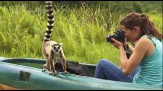 Madagascar  Lemur Island [upl. by Nirrat]