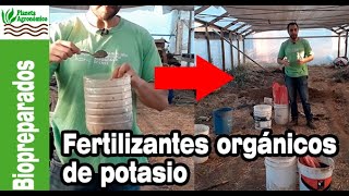 FERTILIZANTES ORGÁNICOS 🍌🍌 de POTASIO para la huerta AGROECOLÓGICA [upl. by Cassy566]