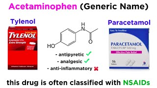 AcetaminophenParacetamol Tylenol [upl. by Gayel]