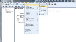 Mean Median Mode  SPSS [upl. by Nirrol]