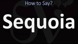 How to Pronounce Sequoia CORRECTLY [upl. by Pallaton]