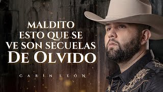 LETRA SECUELAS DE AMOR  Carin León Lyric Video [upl. by Ayikin]