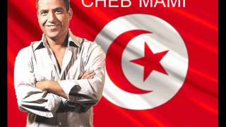 Cheb Mami  galbi galbi  NOUVEL ALBUM 2014 [upl. by Anuaek453]