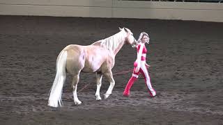 Liberty with California  Sarah Thompson  Night of the Horse 2019  Del Mar National Horse Show [upl. by Oesile746]