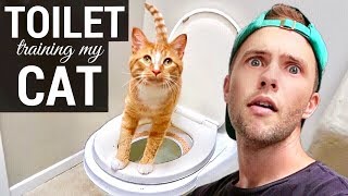 Toilet Training My Cat [upl. by Craig899]