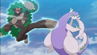 Rillaboom Vs Goodra [upl. by Robinette]