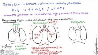 Respiratory  Spirometry Lung Volumes amp Capacities [upl. by Alarick]