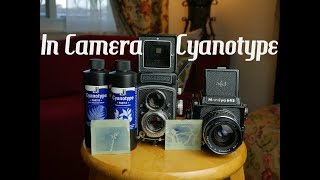 In Camera Cyanotype Tutorial Alternative Process Photography [upl. by Enelyahs898]