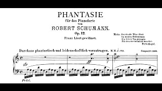 Schumann Fantasie in C Op17 Andsnes [upl. by Adolphe]