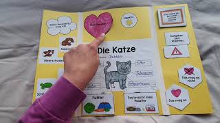 Lapbook Haustiere Sachunterricht [upl. by Rugg]