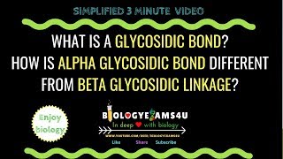 What is a Glycosidic bond Difference between alpha and beta Glycosidic linkage [upl. by Donavon]