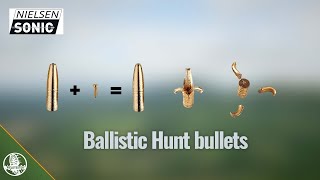 Nielsen Sonic Ballistic Hunt bullet  review [upl. by Ariane]