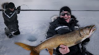 ÉNORME TRUITE SUR LA GLACE  Cyril Chauquet [upl. by Gabbey]