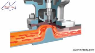 Diaphragm Valve Operation Demonstration [upl. by Goldi]