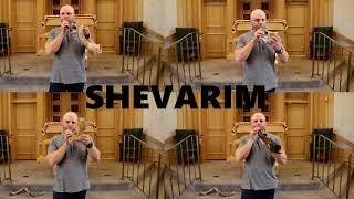 How to sound the Shofar [upl. by Amalle774]