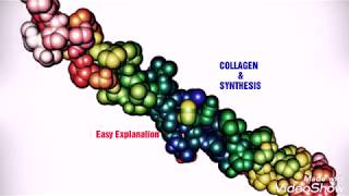 COLLAGEN SYNTHESISEasiest Explanation  USMLE STEP 1  BIOCHEMISTRY [upl. by Crist]