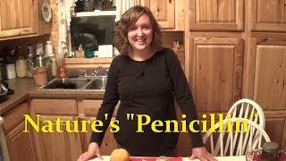 Make Natures quotPenicillinquot Home Remedy Natural and POWERFUL [upl. by Ahsitel493]