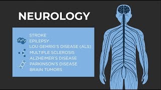 What is Neurology  American Academy of Neurology [upl. by Shandra905]