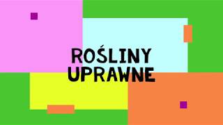 Przyroda kl 4 Rośliny uprawne [upl. by Zendah]