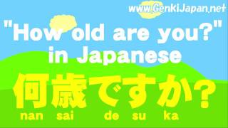 Learn Japanese How old are you GenkiJapanNet [upl. by Asp194]