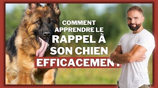 Comment apprendre le rappel a son chien efficacement [upl. by Sams]