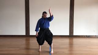 Solo Aikido Practice for Building Muscle Memory [upl. by Monetta]