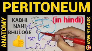 Abdominal Cavity Planes Compartments and Peritoneum Dr Adel Bondok [upl. by Premer806]