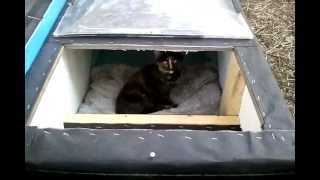 Winter Cat ShelterHouse Feral Cat Day [upl. by Anaul]