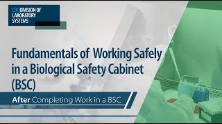 Fundamentals of Working Safely in a Biological Safety Cabinet BSC Completing Work in a BSC [upl. by Peursem]