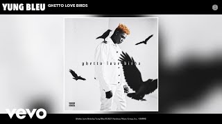 Yung Bleu  Ghetto Love Birds Audio [upl. by Yevi]