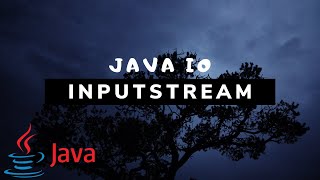 Java IO  Input Streams 3 [upl. by Ogram]