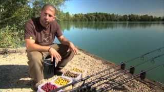 Mainline Bait  High Impact Range Boilies [upl. by Halivah186]