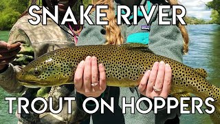 Epic Snake River Hopper Fishing [upl. by Acinoreb]