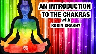 Beginners Guide to Chakras  Everything You Need to Know About Chakras [upl. by Aretahs]