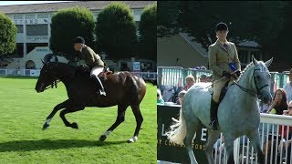 Dublin Horse Show Small Hunter Championship RDS 2017 [upl. by Sapienza]