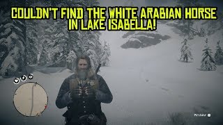 Red Dead Redemption 2 How to Find and Tame an Elite Arabian Horse [upl. by Heigho]