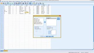 SPSS  GoodnessofFit Test [upl. by Tandie]