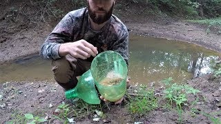 Homemade DIY Minnow Trap  Minnow Trapping in TINY CREEK [upl. by Ennaear]