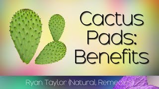 Cactus Leaf Benefits amp Uses Nopales [upl. by Artnoed]