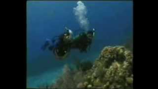 Buceo CursoCapitulo 1 [upl. by Aihsotan]