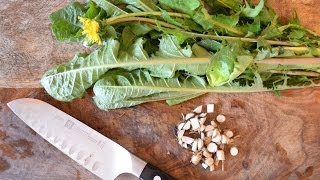 How to harvest prepare and use dandelion leaf and root for beauty and health [upl. by Jezabelle]