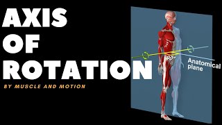 Understanding Axes of MovementRotation [upl. by Vento506]