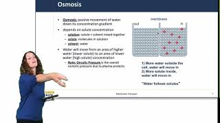 Cell Physiology Membrane Transport [upl. by Ahsiket]