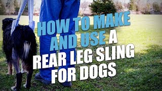 How To Make and Use A Rear Leg Sling for Dogs [upl. by Nagard822]