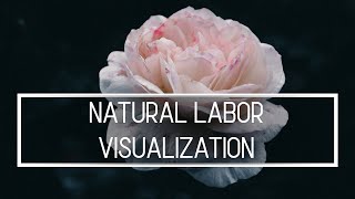 Natural Labor amp Delivery  Cervix opening visualization [upl. by Aliehc266]