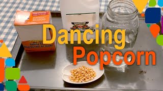 STEAM Activity Dancing Popcorn Kernels [upl. by Bobbie780]