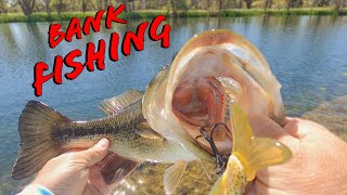 Awesome Bank Fishing With 3 Tips To Catch More Bass While Pond Fishing [upl. by Concordia]