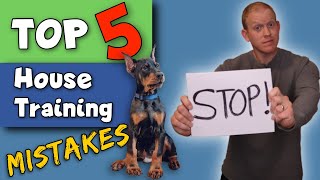 STOP Making These Potty Training Mistakes Doberman Puppy Training [upl. by Eskil]