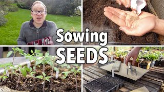 Sowing Seeds Absolutely Everything You Need to Know [upl. by Sivle]