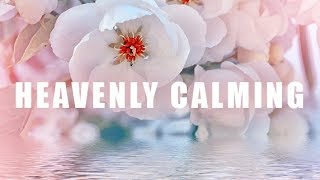 Heavenly Calming Music for Sleep Meditation Relaxing Sleep Music Gentle Sleep Music 🕙10 Hours [upl. by Malynda]